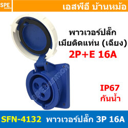 [ 1ชิ้น ] พาวเวอร์ปลั๊ก เมียยึดหน้าตู้ แบบเฉียง SFN-4132 3 ขา 16A 220V 2P+E พาวเวอร์ ปลั๊ก ปลั๊กเพาเวอร์ ต่อสายไฟ หัวปลั๊ก ตัวผู้ ตัวเมีย เพาเวอร์ปลั๊ก ปลั๊ก มีขนาด 3P 4P 5P 16A 32A 63A 3ขา 4ขา 5ขา L N GLine Nuetron Ground พาวเวอร์ปลั๊ก สำหรับงานภาคสนามงา
