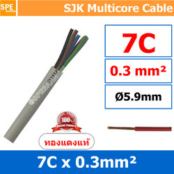 [ 2 เมตร ] SJK 0.3 Sq.mm. 7C x 0.3 สายมัลติคอร์ 7 คอร์ Multicore Cable สาย AV Control Cable SJK สาย คอนโทรล 0.3 sq.mm. Multi Core Cable 0.3mm Control Signal Power Control Cable Control Wire สายคอนโทรล สายมัลติคอ สายสัญญาณ สายคอนโทรล เบอร์ 0.3 มม สี เทา Gr