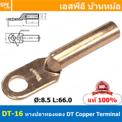 [ 3ชิ้น ] DT-16 หางปลาทองแดง DT Copper Terminal หางปลาเข้าสายไฟ Cable Lug Copper หางปลาสายแบตเตอรี่ Battery Terminal หางปลาแบบหนา Un-Insulated Crimping Terminal สายแบต หางปลาต่อสายไฟ Crimping Terminal for battery cable