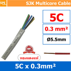 [ 2 เมตร ] SJK 0.3 Sq.mm. 5C x 0.3 สายมัลติคอร์ 5 คอร์ Multicore Cable สาย AV Control Cable SJK สาย คอนโทรล 0.3 sq.mm. Multi Core Cable 0.3mm Control Signal Power Control Cable Control Wire สายคอนโทรล สายมัลติคอ สายสัญญาณ สายคอนโทรล เบอร์ 0.3 มม สี เทา Gr
