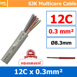 [ 1 เมตร ] SJK 0.3 Sq.mm. 12C x 0.3 สายมัลติคอร์ 12 คอร์ Multicore Cable สาย AV Control Cable SJK สาย คอนโทรล 0.3 sq.mm. Multi Core Cable 0.3mm Control Signal Power Control Cable Control Wire สายคอนโทรล สายมัลติคอ สายสัญญาณ สายคอนโทรล เบอร์ 0.3 มม สี เทา 