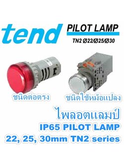 ไพลอตแลมป์ ชนิดต่อตรง และ ชนิดใช้หม้อแปลง IP65 PILOT LAMP 22, 25, 30mm TN2 series (TEND) TN2P, TN3P, TN2L, TN3L, TN2N, TN3N, TN2D, TN3D, TN2TP, TN3TP