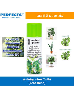 [ 1ชิ้น ] PERFECTS LEAF SHINE SPRAY สเปรย์ดูแลรักษาใบพืช 200ml สเปรย์เคลือบเงาใบไม้ ดูแลต้นไม้ น้ำยาอเนกประสงค์ Multi Use Spray เพอร์เฟค น้ำยาฉีดใบไม้ เปรย์ต้นไม้ แลคเกอร์เคลือบเงาใบไม้ ดูแลต้นไม้
