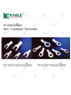 หางปลาแฉกเปลือย หางปลากลมเปลือย (KABLE) รุ่น 1.25-3YSA to 5.5-6Y, 1.25-3A to 14-10