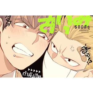 ซีรี่ย์ เมกุมิกับสึกุมิ