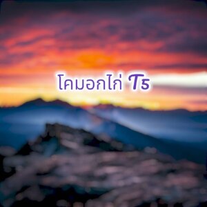 โคมอกไก่ T5