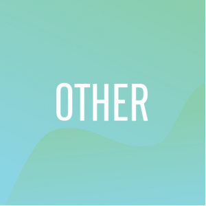 Other (อื่นๆ)