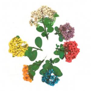 วัสดุใส้ใน