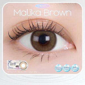 AZP02 รุ่น 14.2 Malika Brown (Luxury Silverbox) Step 1-3 AZP Y