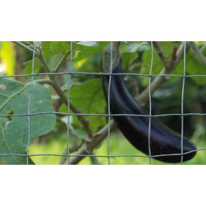 ตาข่ายเหล็กชุบเย็นตาสี่เหลี่ยมชนิดต่างๆสำหรับใช้ในงานก่อสร้าง งานเกษตร ล้อมรั้ว