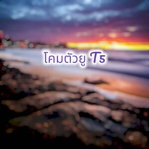 โคมตัวยู T5