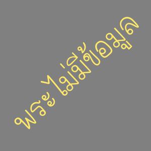 วัตถุมงคลประเภท พระไม่มีข้อมูล