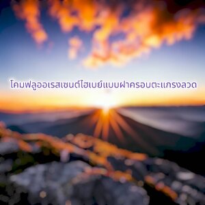 โคมฟลูออเรสเซนต์ไฮเบย์แบบฝาครอบตะแกรงลวด