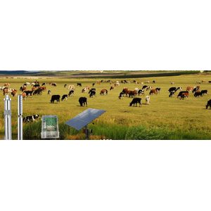 หมวดปั๊มน้ำสูบน้ำ