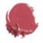 ลิปสติกสีสวย (คลินิกข์) ป๊อปลิป CLINIQUE Pop Lip Colour and Primer 2.3 g No.14 Plum Pop ลิปเนื้อเนียนนุ่ม สีสวยติดทน