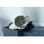 CASIO EDIFICE รุ่น EFV-630D-3AVUDF สีเงิน หน้าปัดสีเขียว สินค้าใหม่ ของเเท้ ประกันศูนย์ CMG