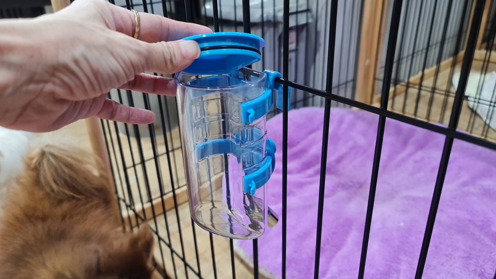💦🐶 ขวดน้ำสัตว์เลี้ยง แบบแขวน สีฟ้า (ราคารวมส่ง)