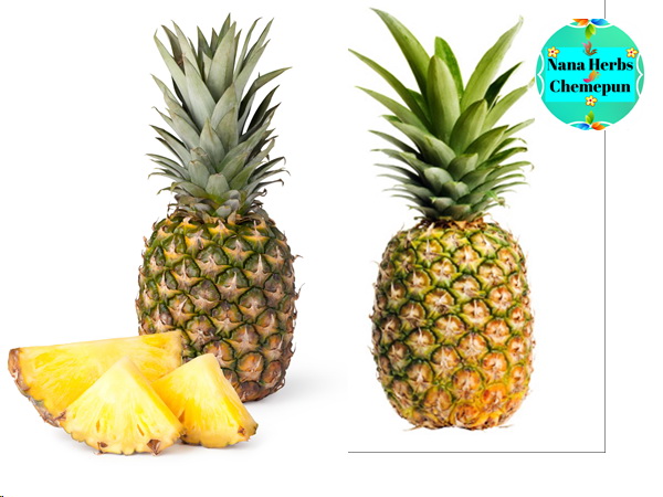 สารสกัดสัปปะรด Pineapple Extract (Thai)