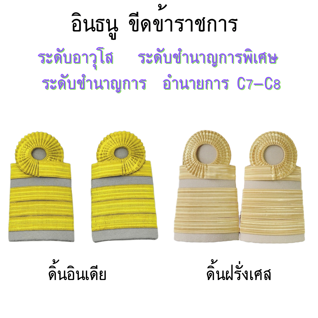 อินธนู ขีดข้าราชการ ระดับอาวุโส ระดับชำนาญการพิเศษ ระดับชำนาญการ อำนายการ C7-C8 ชาย / หญิง