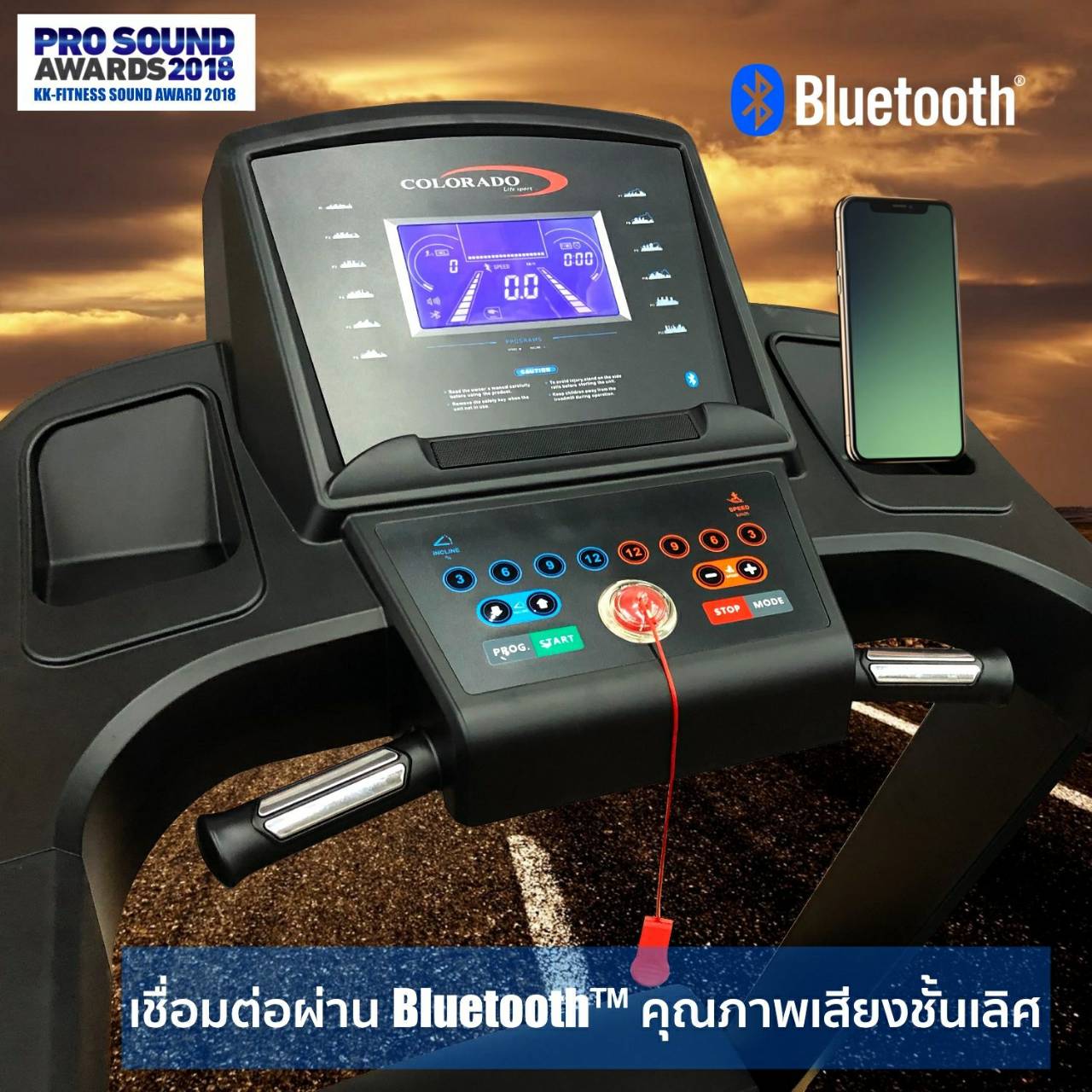 ลู่วิ่งไฟฟ้า Colorado รุ่น 9596