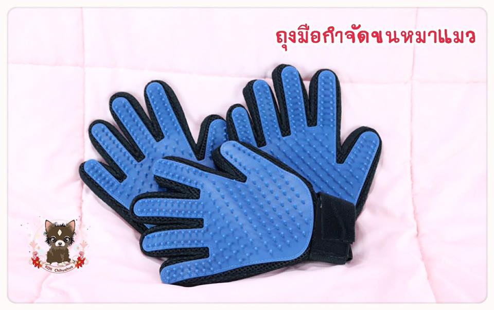 ถุงมือกำจัดขนหมาแมว (รวมส่ง)