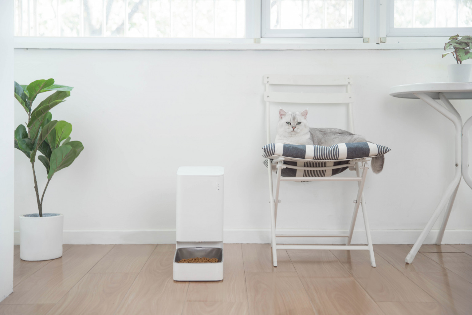 Xiaomi Smart Pet Food Feeder เครื่องให้อาหารสัตว์อัจฉริยะ ผลิตจากสแตนเลส 304 Food grade สินค้ารับประกัน 1 ปี