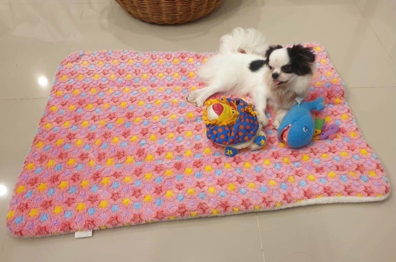 SALE‼️ เบาะนอนสัตว์เลี้ยง ไซส์XL ลายดาวเทา นุ่มสบาย ให้ความอบอุ่น สำหรับสุนัข แมว [ส่งฟรี]