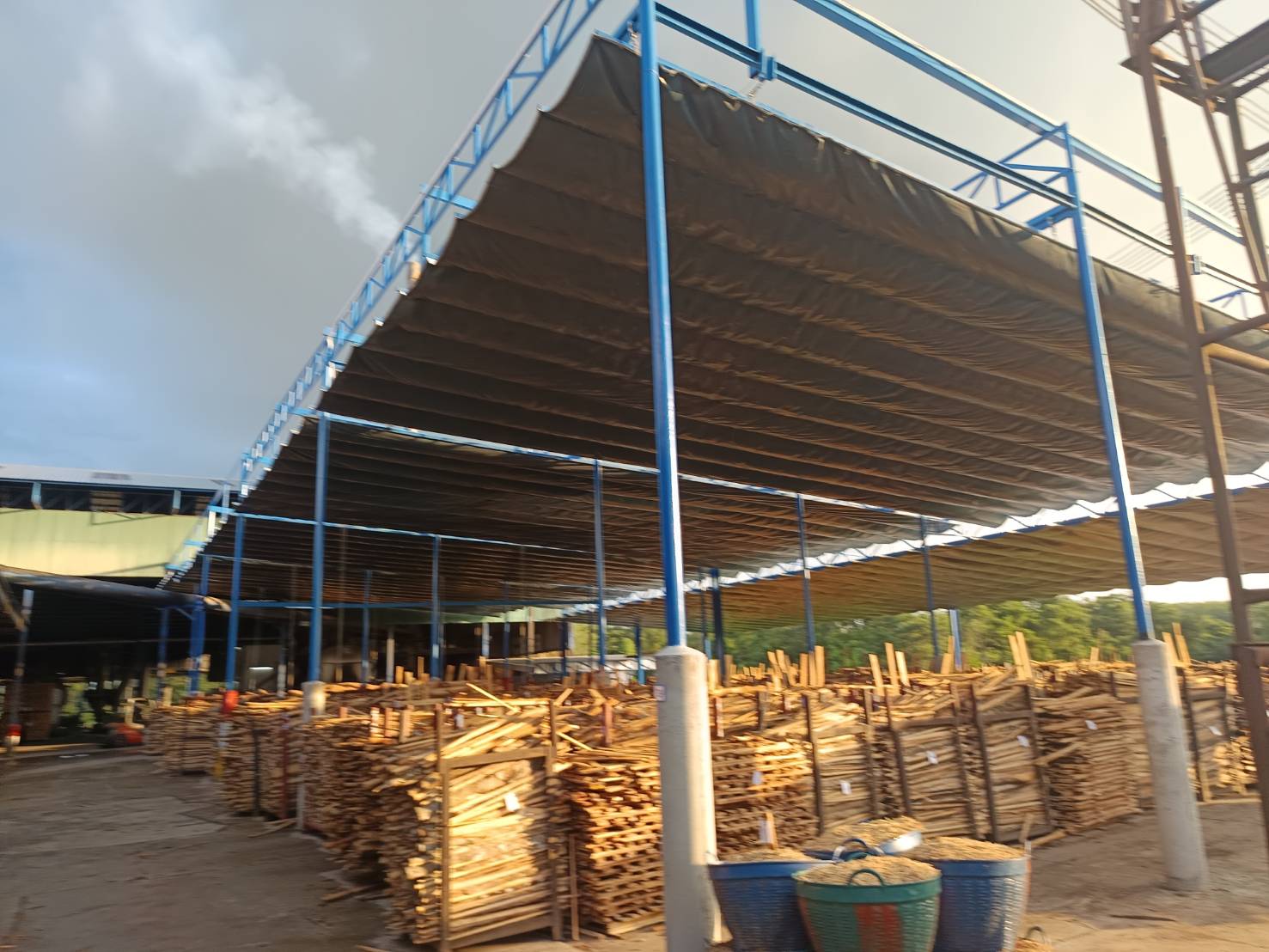 pabaithaiโรงไม้ บจก.เอเซีย แปซิฟิค พาราวู้ด