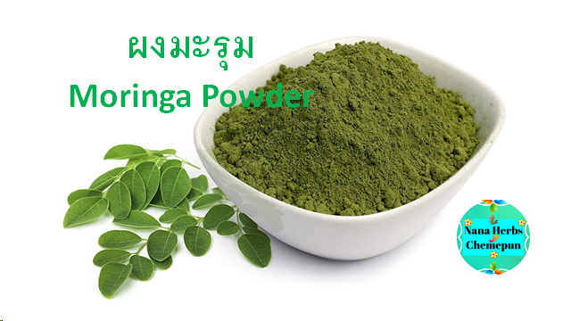 ผงใบมะรุม100 % Moringa Powder