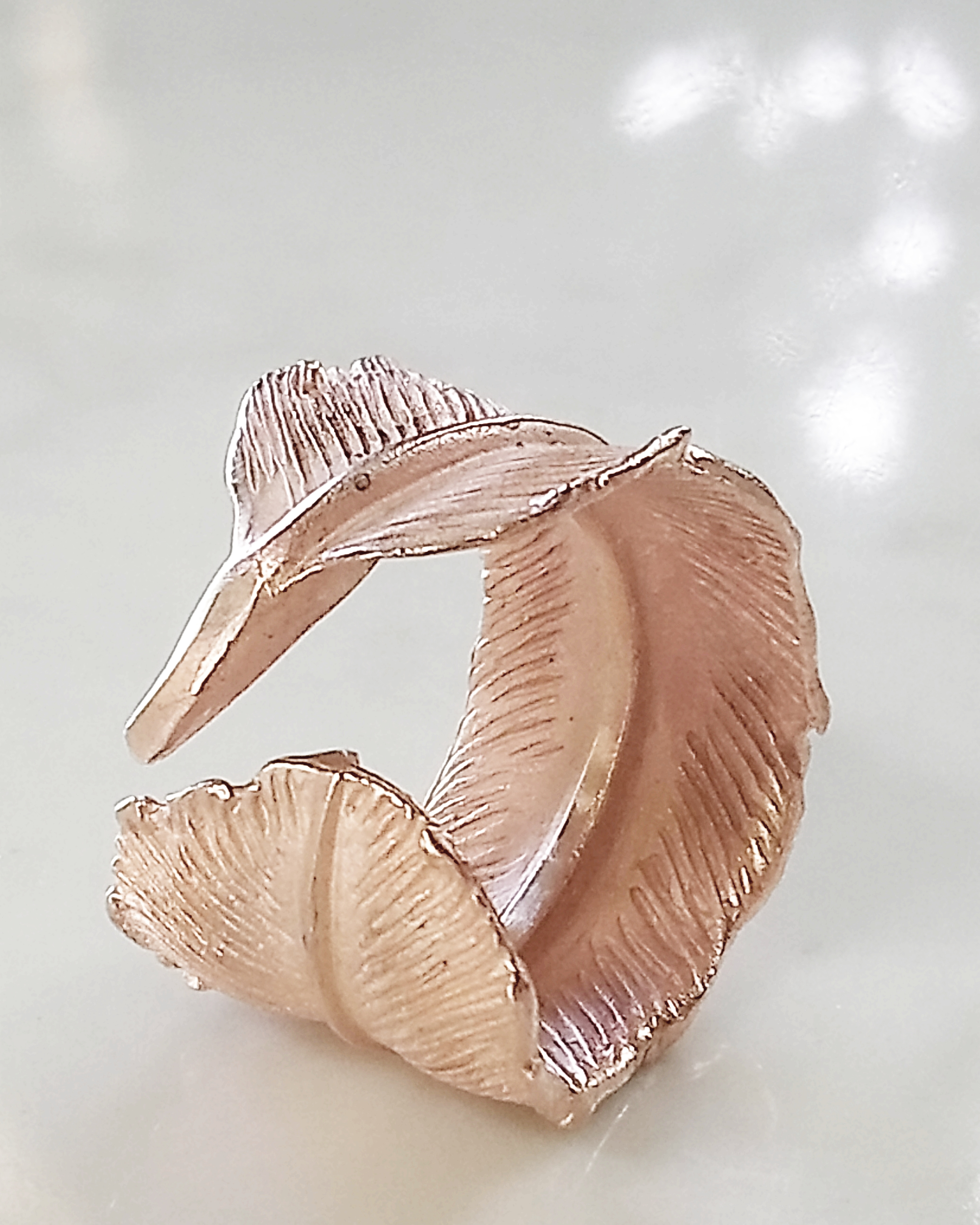 Ring 23 Feath