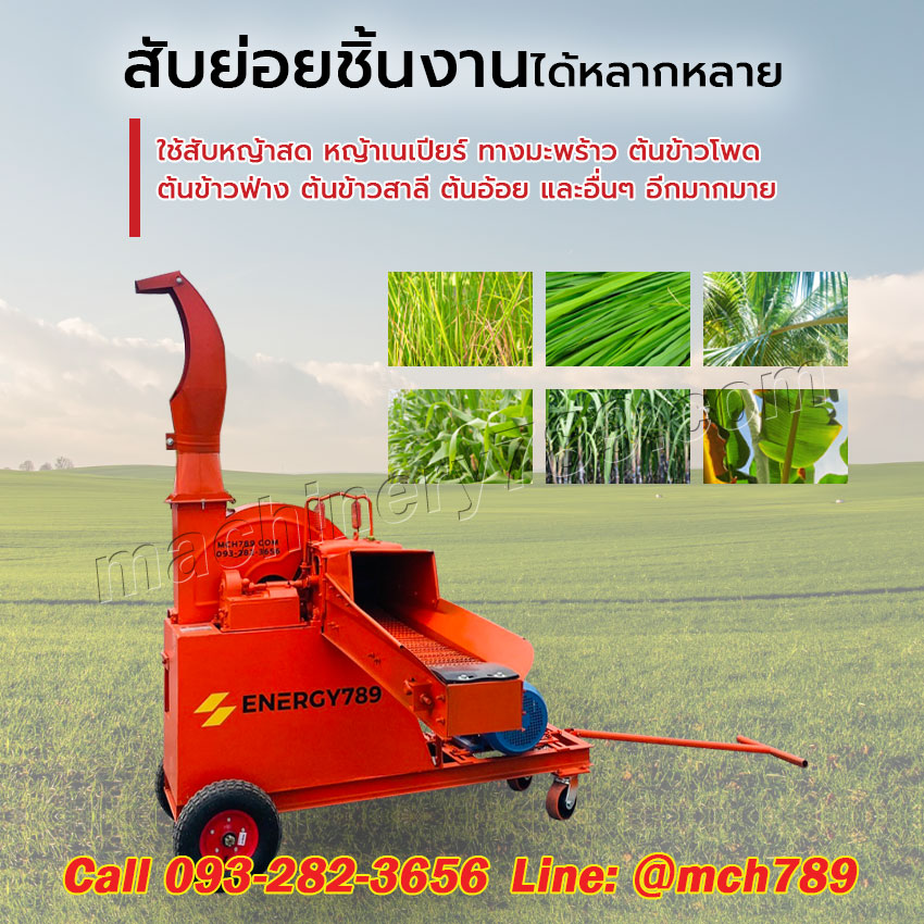 เครื่องสับหญ้าอเนกประสงค์ รุ่น ZONE 1 + สายพานเข้ากำลังผลิต 3.5 ตัน/ชม. เครื่องสับหญ้าเนเปียร์ เครื่องย่อยทางมะพร้าว เครื่องสับต้นข้าวโพด เครื่องสับต้นอ้อย เครื่องสับย่อยอเนกประสงค์ Feed Grain Straw Grinder Mill / Grass Grinding Machine