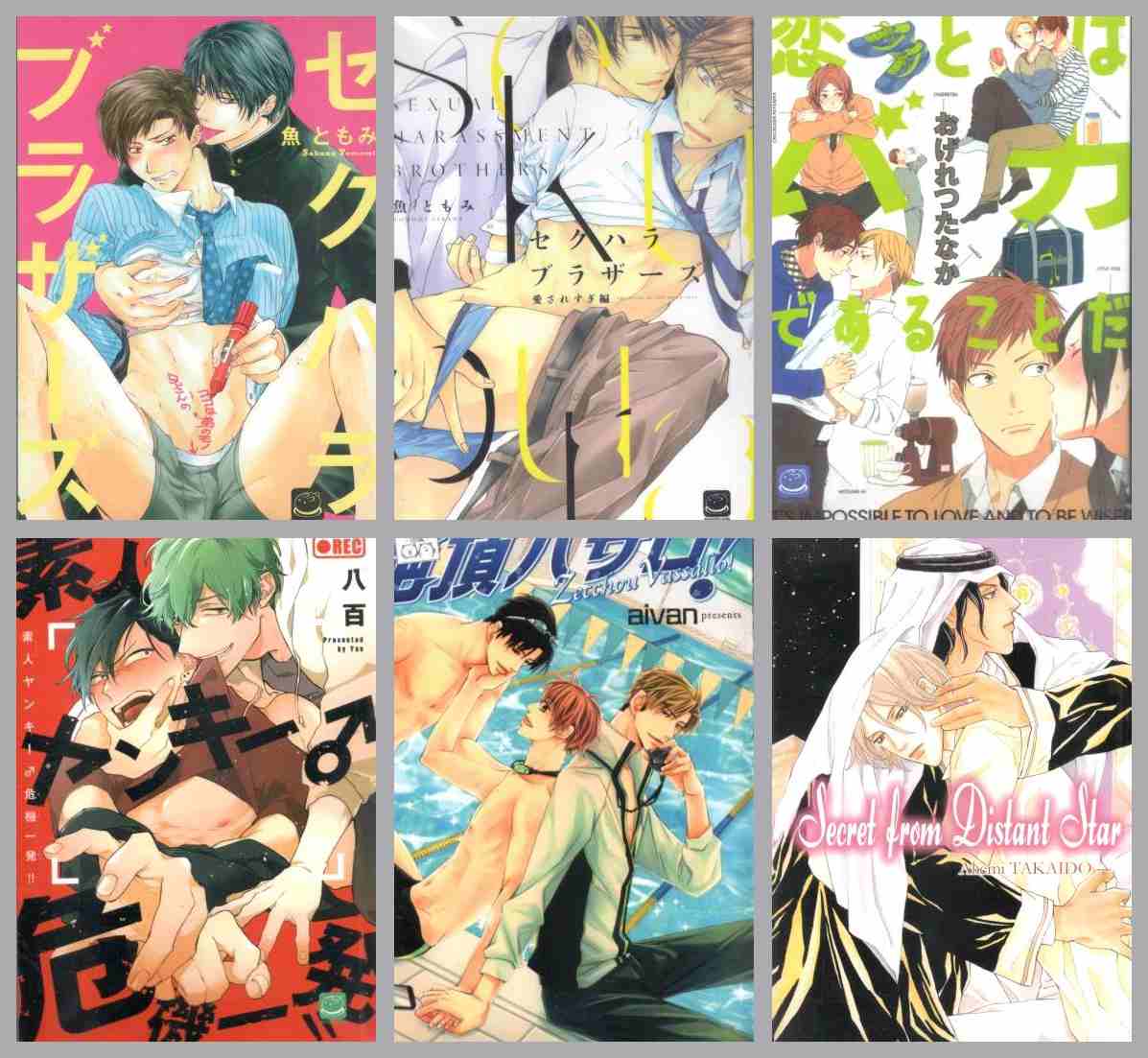 Sexual Harassment brothers the story of too much love : Sakana tomomi