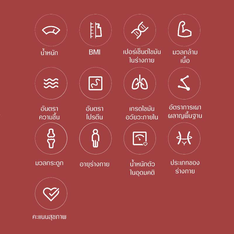 เครื่องชั่งน้ำหนักอัจฉริยะ Mi Body Composition Scale 2 ประกันศูนย์ไทย 1 ปี
