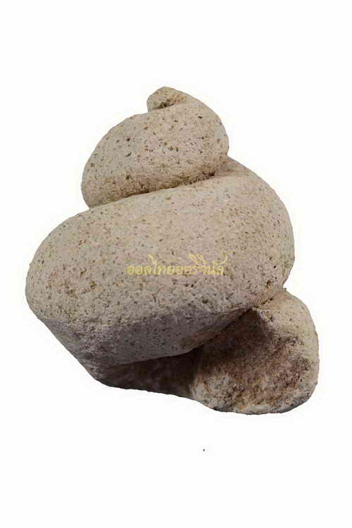 เกศพระ หลวงพ่อโหน่ง วัดคลองมะดัน เนื้อปูนปั้น สุพรรณ 63040328