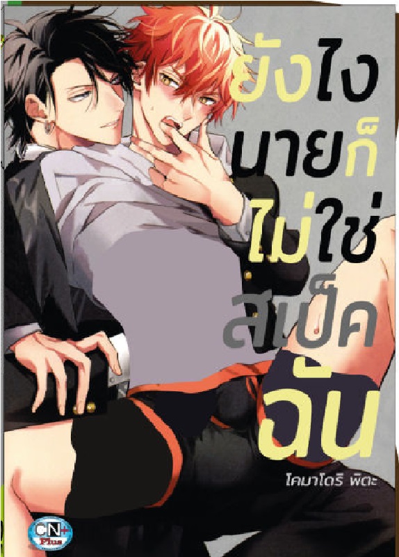 ยังไงนายก็ไม่ใช่สเป็คฉัน : โคมาโดริ พิตะ