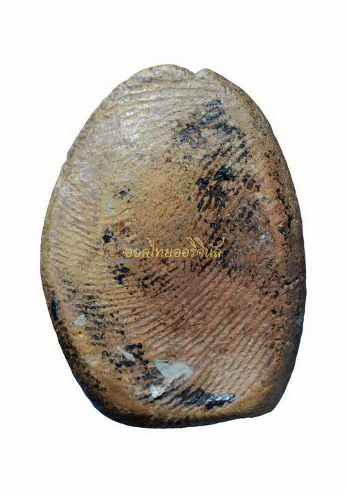 พระซุ้มกอ กรุลานดอกไม้ เนื้อดิน65011261