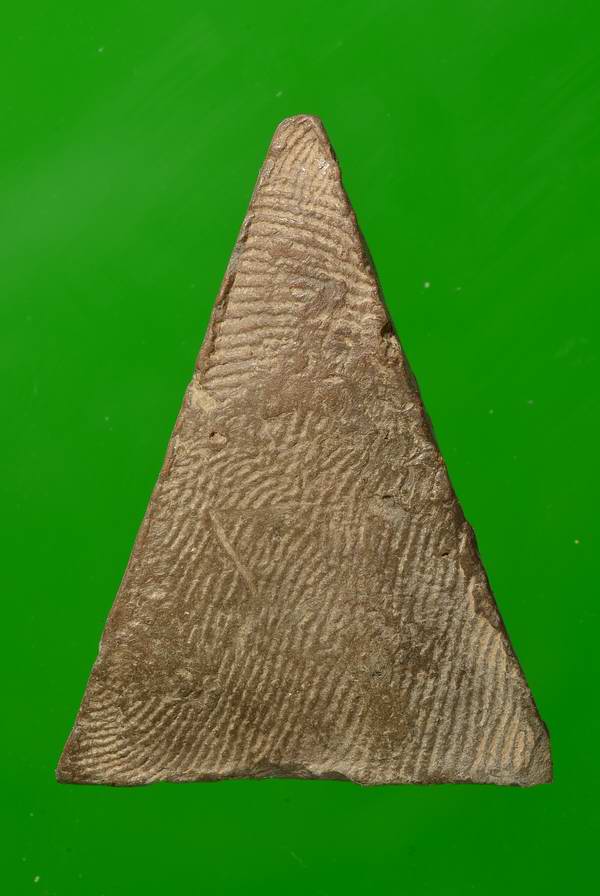 พระนางพญา หลวงพ่อแฉ่ง วัดบางพัง เนื้อดิน นนทบุรี