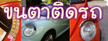 ขนตา