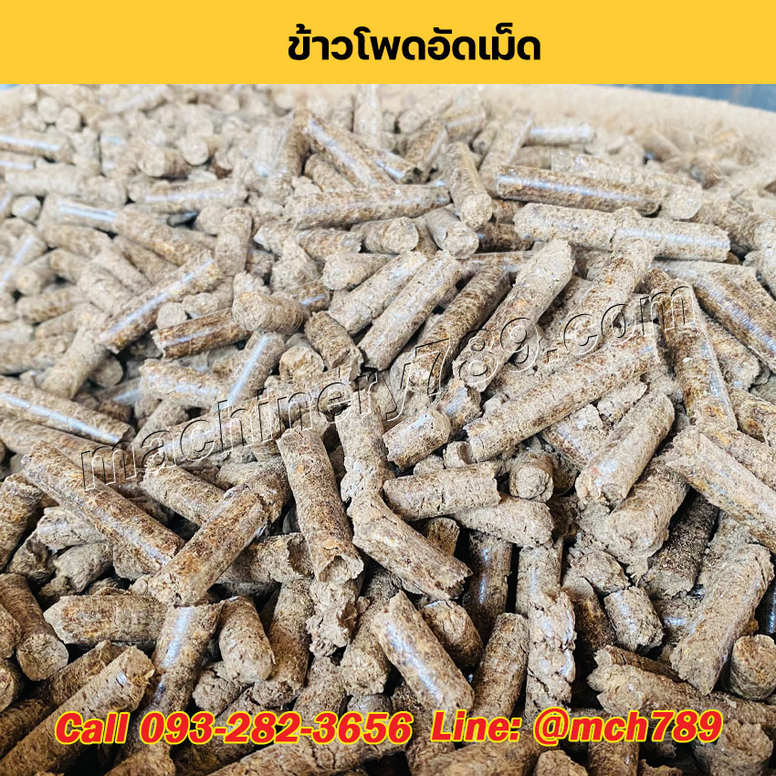 เครื่องอัดเม็ดเชื้อเพลิงชีวมวลขนาดเล็ก MINI กำลังผลิตเริ่มต้น 150-1,200 กก./ชม. เครื่องอัดเม็ดเชื้อเพลิงชีวมวล เครื่องอัดแท่งชีวมวล เครื่องอัดเม็ดรุ่นเล็ก Mini Wood Pellet Making Machine