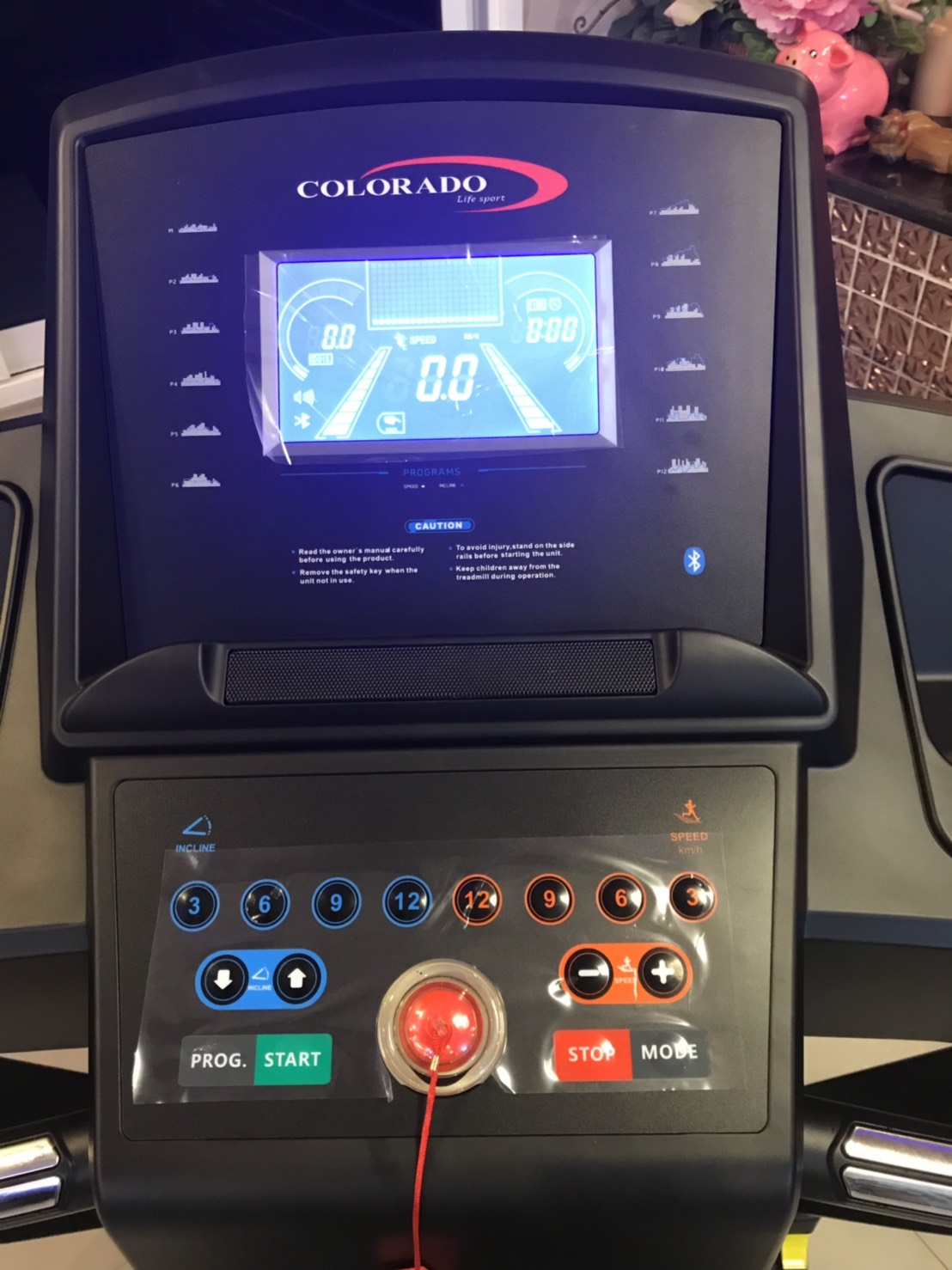 ลู่วิ่งไฟฟ้า Colorado รุ่น 9596