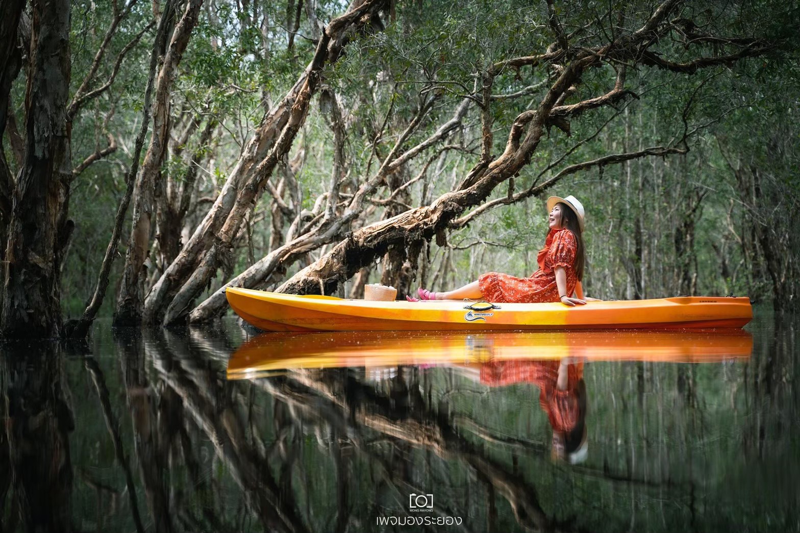 เรือคายัค 3 ที่นั่ง / 3 SEAT