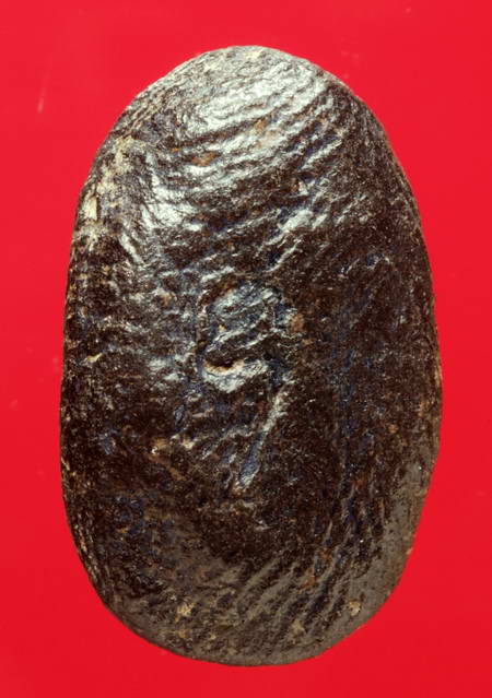 พระในตระกูลคลองตะเคียนอยุธยา.....พระปิดตา กรุวัดช้าง เนื้อดิน อยุธยา