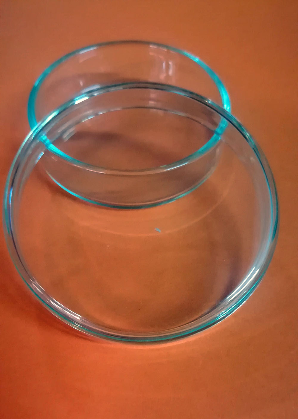 จานเพาะเชื้อแบบแก้ว ขนาด Dia 5.5ซม. X 1.5ซม.