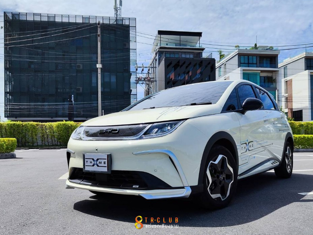 ชุดแต่งรอบคัน X-THEME : BYD DOLPHLIN