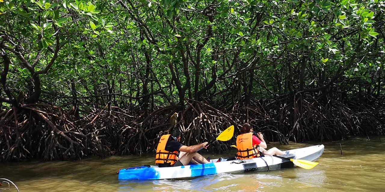 เรือคายัค 2 ที่นั่ง / 2 SEAT