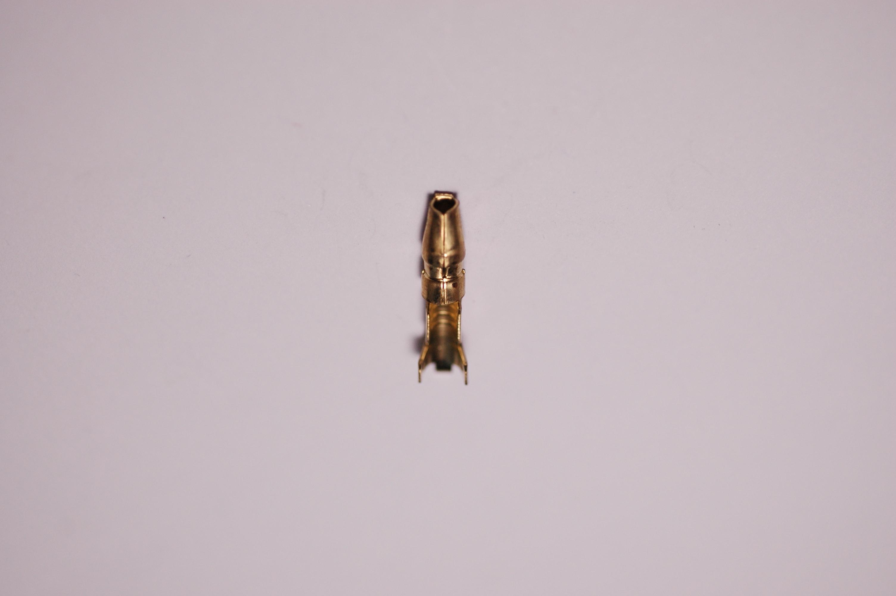 หางปลาเสียบกลม ตัวผู้ ทองเหลือง