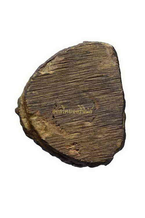 +รูปเหมือนหล่อโบราณรุ่นแรก หลวงปู่ปรง วัดธรรมเจดีย์ เนื้อทองผสม สิงห์บุรี 630429163