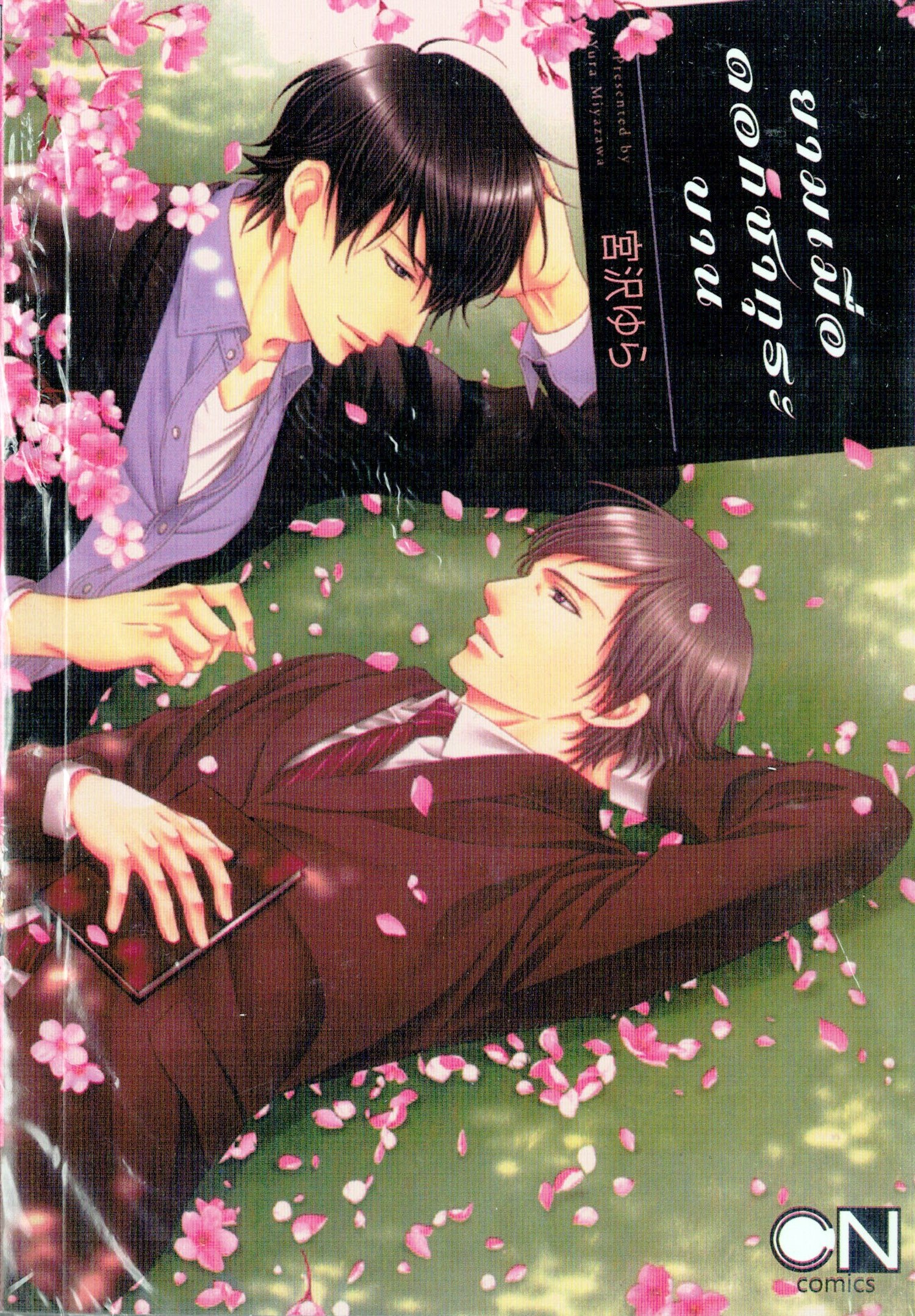 ยามเมื่อดอกซากุระบาน : Yura MIYAZAWA