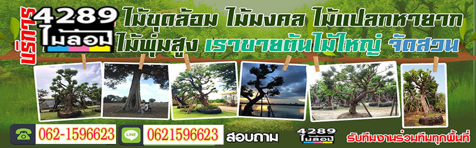 A23 ต้นไม้จัดสวน คุณวิไลวรรณ