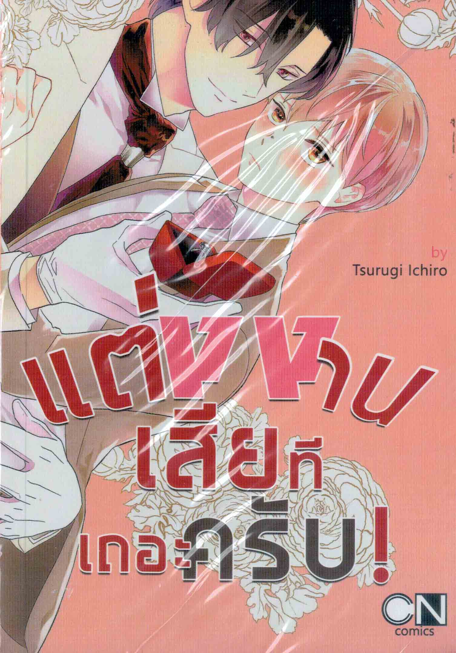 แต่งงานเสียทีเถอะครับ! : Tsurugi Ichiro